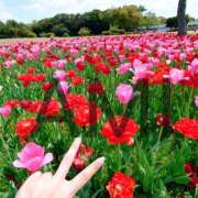 ヒメ日記 2025/04/30 19:00 投稿 あみ AVANCE福岡