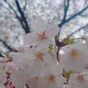 あみ きっれーい　と… AVANCE福岡