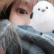 ヒメ日記 2025/01/03 16:38 投稿 きき VIVIDCREWマダムセカンドバージン 梅田店