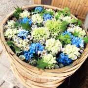 ヒメ日記 2025/05/21 15:54 投稿 きき VIVIDCREWマダムセカンドバージン 梅田店