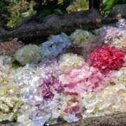 ヒメ日記 2025/06/13 22:17 投稿 きき VIVIDCREWマダムセカンドバージン 梅田店