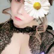 ヒメ日記 2025/06/16 22:54 投稿 きき VIVIDCREWマダムセカンドバージン 梅田店