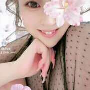 ヒメ日記 2025/09/02 15:56 投稿 きき VIVIDCREWマダムセカンドバージン 梅田店