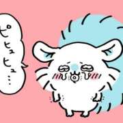 ヒメ日記 2025/09/20 19:54 投稿 きき VIVIDCREWマダムセカンドバージン 梅田店