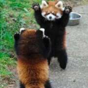 ヒメ日記 2025/09/23 17:25 投稿 きき VIVIDCREWマダムセカンドバージン 梅田店