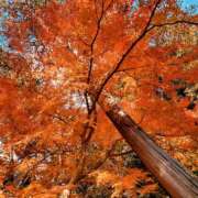 ヒメ日記 2025/10/30 17:14 投稿 きき VIVIDCREWマダムセカンドバージン 梅田店