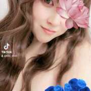 ヒメ日記 2025/11/05 08:19 投稿 きき VIVIDCREWマダムセカンドバージン 梅田店