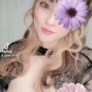 ヒメ日記 2025/11/14 08:21 投稿 きき VIVIDCREWマダムセカンドバージン 梅田店