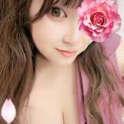 ヒメ日記 2025/11/14 23:23 投稿 きき VIVIDCREWマダムセカンドバージン 梅田店