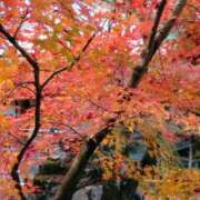 ヒメ日記 2025/12/05 16:34 投稿 きき VIVIDCREWマダムセカンドバージン 梅田店