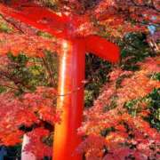 ヒメ日記 2025/12/05 21:50 投稿 きき VIVIDCREWマダムセカンドバージン 梅田店