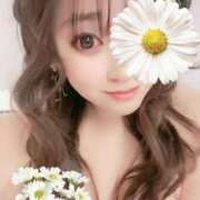 ヒメ日記 2026/01/16 23:44 投稿 きき VIVIDCREWマダムセカンドバージン 梅田店