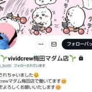 ヒメ日記 2026/02/17 23:36 投稿 きき VIVIDCREWマダムセカンドバージン 梅田店