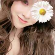 ヒメ日記 2026/02/19 00:51 投稿 きき VIVIDCREWマダムセカンドバージン 梅田店