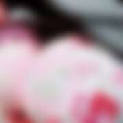 ヒメ日記 2026/02/26 12:54 投稿 きき VIVIDCREWマダムセカンドバージン 梅田店