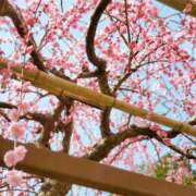 ヒメ日記 2026/03/06 20:32 投稿 きき VIVIDCREWマダムセカンドバージン 梅田店