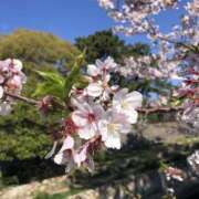 ヒメ日記 2026/04/10 01:42 投稿 きき VIVIDCREWマダムセカンドバージン 梅田店