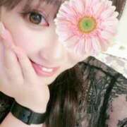 ヒメ日記 2026/04/28 23:30 投稿 きき VIVIDCREWマダムセカンドバージン 梅田店