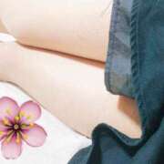 ヒメ日記 2025/04/26 14:21 投稿 かすみ 松本人妻隊