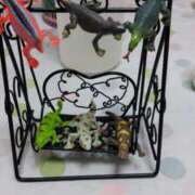 ヒメ日記 2025/05/17 11:50 投稿 ここな 即トク奥さん