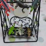 ヒメ日記 2025/09/15 15:01 投稿 ここな 即トク奥さん