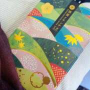 ヒメ日記 2025/01/02 15:40 投稿 のの 逆電車ごっこ ～GLAMOROUS TRAIN～