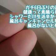 ヒメ日記 2025/09/15 12:10 投稿 のの 逆電車ごっこ ～GLAMOROUS TRAIN～