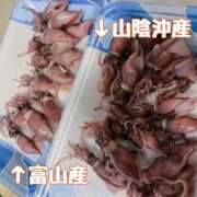 ヒメ日記 2026/04/02 18:32 投稿 のの 逆電車ごっこ ～GLAMOROUS TRAIN～