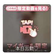 ヒメ日記 2025/02/15 08:55 投稿 えみり スピード難波店