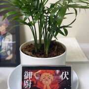 ヒメ日記 2025/01/05 19:14 投稿 たまき 完熟ばなな 横浜