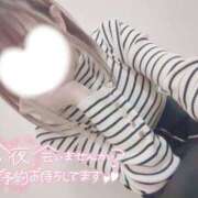 ヒメ日記 2025/03/20 16:25 投稿 ゆうか 秘密倶楽部 凛 船橋本店