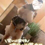 ヒメ日記 2025/05/03 21:39 投稿 ゆうか 秘密倶楽部 凛 船橋本店