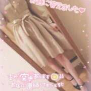 ヒメ日記 2025/06/30 19:05 投稿 ゆうか 秘密倶楽部 凛 船橋本店