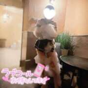 ヒメ日記 2025/10/05 11:01 投稿 ゆうか 秘密倶楽部 凛 船橋本店