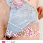 ヒメ日記 2025/11/15 17:56 投稿 ゆうか 秘密倶楽部 凛 船橋本店