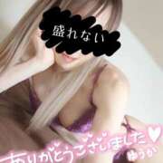 ヒメ日記 2026/02/01 14:01 投稿 ゆうか 秘密倶楽部 凛 船橋本店