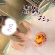 ヒメ日記 2026/07/04 11:15 投稿 ゆうか 秘密倶楽部 凛 船橋本店