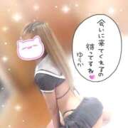 ヒメ日記 2026/08/17 19:46 投稿 ゆうか 秘密倶楽部 凛 船橋本店