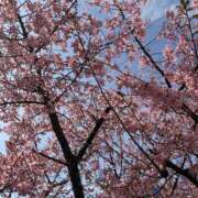 ヒメ日記 2026/03/01 14:08 投稿 ちひろ 千葉松戸ちゃんこ