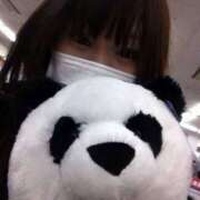 ヒメ日記 2026/03/08 07:01 投稿 ちひろ 千葉松戸ちゃんこ