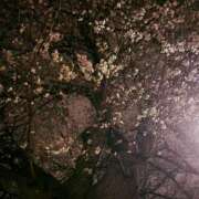 ヒメ日記 2026/03/28 19:16 投稿 ちひろ 千葉松戸ちゃんこ