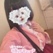 ヒメ日記 2025/05/14 12:48 投稿 れむ しゃんぜりぜ