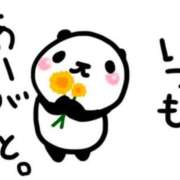 ヒメ日記 2025/03/17 21:19 投稿 めい 完熟ばなな札幌・すすきの