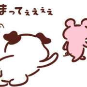 ヒメ日記 2025/03/28 21:29 投稿 めい 完熟ばなな札幌・すすきの