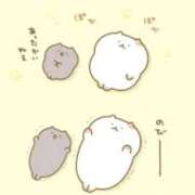 ヒメ日記 2025/04/09 13:49 投稿 めい 完熟ばなな札幌・すすきの