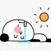 ヒメ日記 2025/05/28 21:59 投稿 めい 完熟ばなな札幌・すすきの