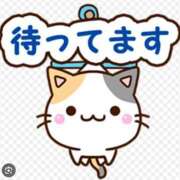 めい 急ですが… 完熟ばなな札幌・すすきの