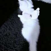 ヒメ日記 2026/02/02 13:28 投稿 まふゆ マリアージュ熊谷