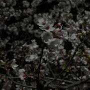 ヒメ日記 2026/04/04 10:50 投稿 まふゆ マリアージュ熊谷