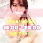 ヒメ日記 2025/03/05 11:15 投稿 きょうか ごほうびSPA広島店